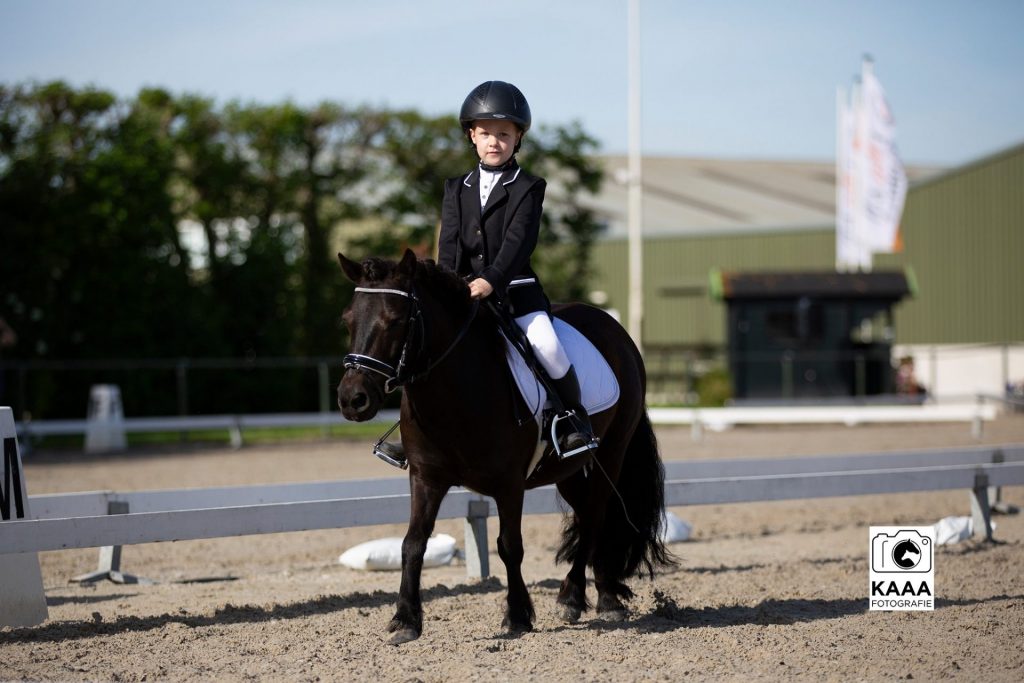 Lichte manege met ruiter op paard